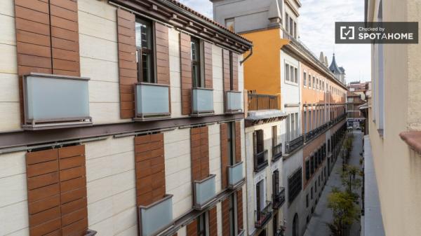 Apartamento de 1 dormitorio en alquiler en Madrid