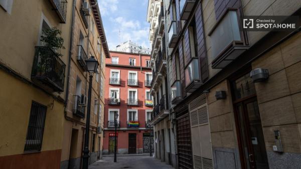 Apartamento de 1 dormitorio en alquiler en Madrid