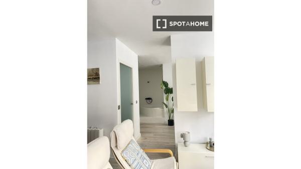 Apartamento entero de 1 habitaciones en Madrid