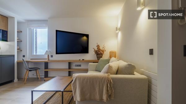 Apartamento de 1 dormitorio en alquiler en Madrid