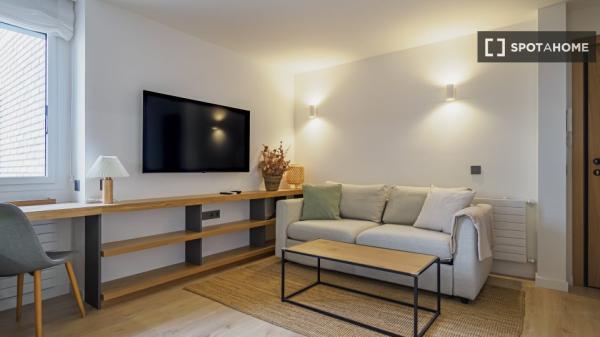 Apartamento de 1 dormitorio en alquiler en Madrid