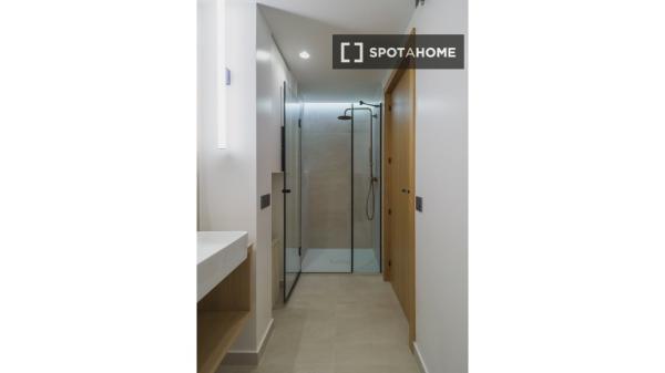 Apartamento de 1 dormitorio en alquiler en Madrid