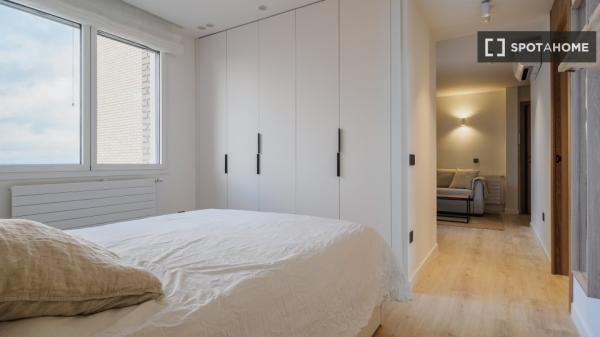 Apartamento de 1 dormitorio en alquiler en Madrid