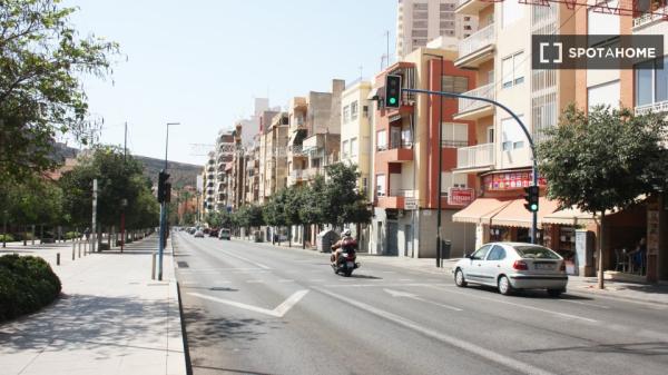 Piso entero de 4 habitaciones en Alacant